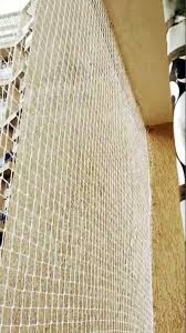 Pigeon Net 2